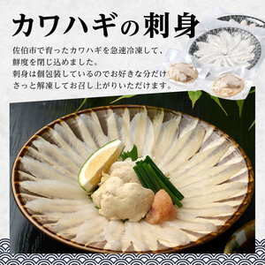大分県産 カワハギ 刺身 ・ 切身 セット (総量480g) かわはぎ 刺し身 切り身 鍋 小分け 冷凍 魚 国産 【opbe001】【水元】
