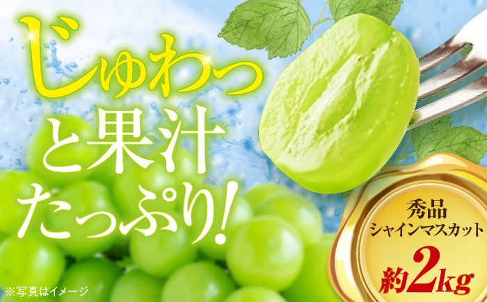 シャインマスカット2kg(3～5房)