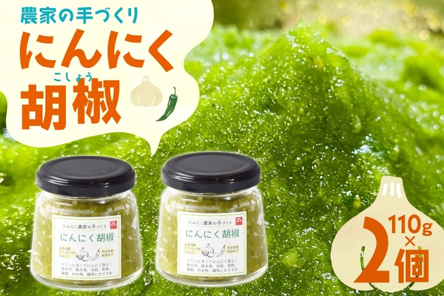 
            こしょう にんにく農家の手づくり にんにく胡椒 110g 2個 セット [山之一 熊本県 五木村 51120278] にんにく 胡椒 青唐辛子 ペースト 小分け
          