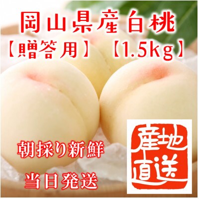 岡山県産白桃　約1.5kg(4～6玉)【配送不可地域：離島・北海道・沖縄県】