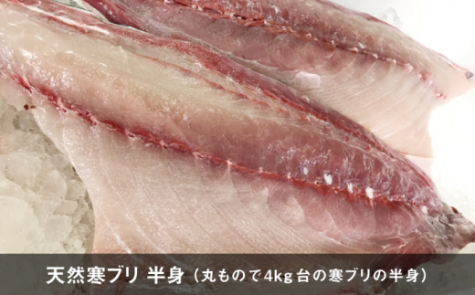 【年内発送】【お正月用】壱岐島産天然寒ブリ（一本丸ものサイズ4ｷﾛ台の半身ブロック） [JBS018]