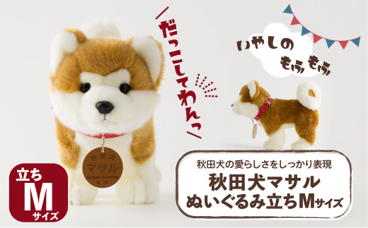 秋田犬マサルぬいぐるみ 立ちMサイズ 65P7303 /  東北 秋田 大館 秋田犬 マサル ザギトワ ぬいぐるみ 贈り物 贈答用 犬 犬グッズ あきたいぬ あきたけん 秋田犬の里 忠犬 ハチ公 ハチコウ はちこう 贈り物 誕生日 バースデー プレゼント クリスマス ギフト ふわふわ もふもふ