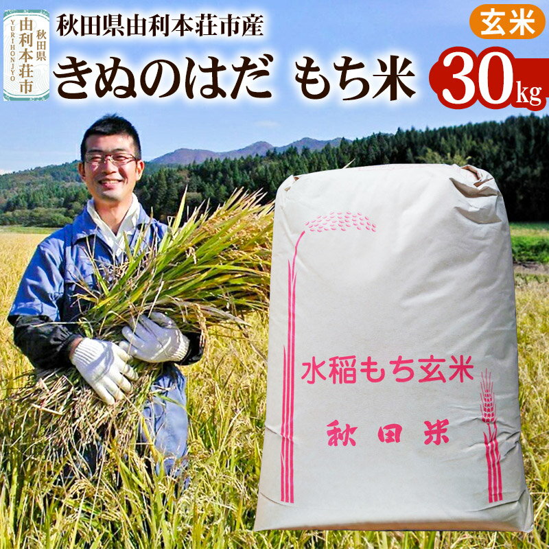 【ふるさと納税】【もち米】30kg 秋田県由利本荘市産 きぬのはだ【玄米】五平農園