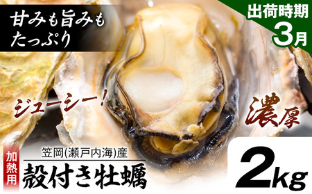 牡蠣事業者応援！ 殻付き牡蠣 (加熱用) 2kg《3月上旬-3月末頃出荷》