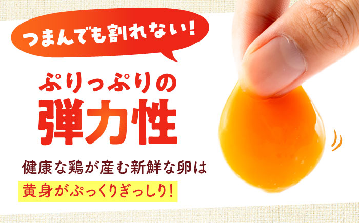 安田養鶏場の卵 アトムくん 50個入り 横須賀市 産地直送 たまご 黄身 濃厚 卵 玉子 タマゴ 鶏卵  【安田養鶏場】 [AKHN004]