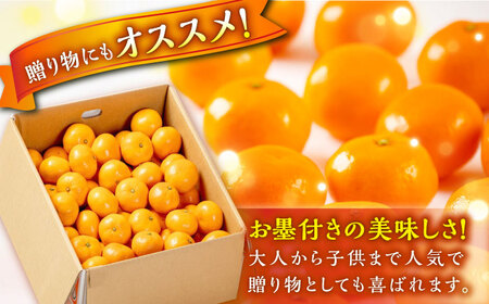 【先行予約】【11月中旬から順次発送】【期間・数量限定】愛媛県産 早生みかん 赤秀5kg箱愛媛県大洲市/愛媛たいき農業協同組合[AGAO005]みかん早生みかん果物みかん早生みかん果物みかん早生みかん