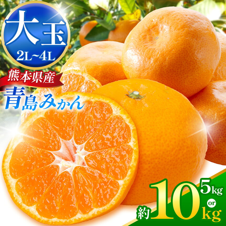 【ふるさと納税】こだわり栽培 青島みかん (2L～4L) 約 5kg or 10kg iFARM 岩城農園 | 果物 くだもの 青島 みかん ミカン 甘い 大容量 熊本県 玉名市