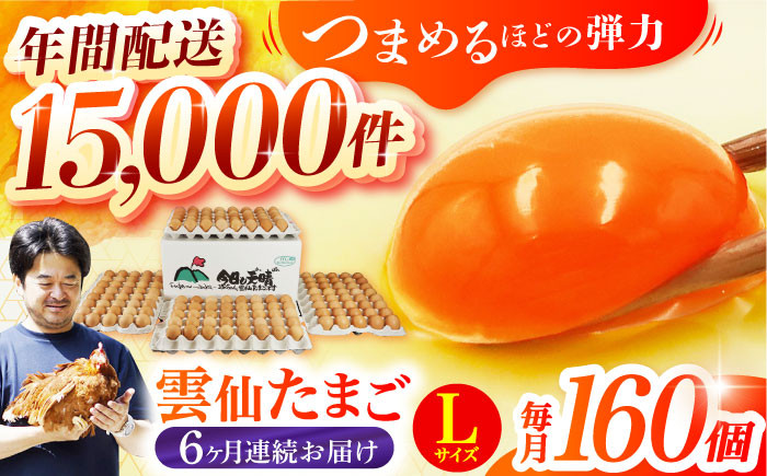 
            【全6回定期便】Lサイズ160個(150個＋割れ補償10個入り) 長崎県/塚ちゃん雲仙たまご村 [42ACAE027] 卵 玉子 タマゴ 鶏卵 長崎 島原 九州 6ヶ月 6か月 大容量
          