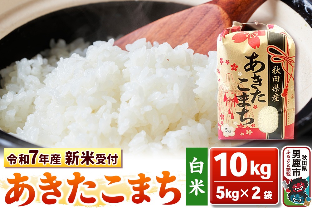 《令和7年産 新米受付》【白米】秋田県産 あきたこまち 10kg（5kg×2袋）秋田県 男鹿市 こまちライン|23_kml-031001s