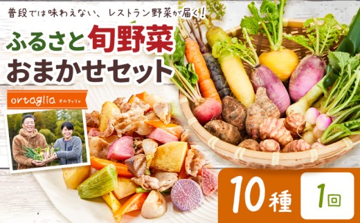 季節の旬野菜 おまかせセット 10種 1回 （農薬・化学肥料不使用）オルタッリャ 《45日以内に出荷予定(土日祝除く)》【配送不可地域あり】