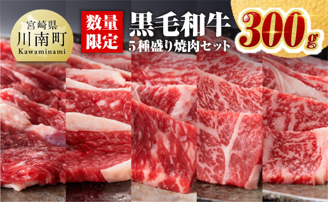 
黒毛和牛5種盛り 焼肉セット（数量限定）300g 【 肉 牛肉 国産 宮崎県産 黒毛和牛 ミヤチク BBQ バーベキュー 送料無料 】
