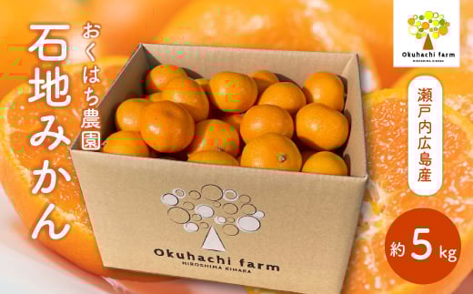 【おくはち農園】石地みかん 5kg 《2025年12月発送予定》栽培期間中 防腐剤 ワックス 不使用 旬 柑橘 かんきつ フルーツ 果物 瀬戸内 166004