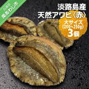 【ふるさと納税】 ふるさと納税 bbq 【花光】淡路島産天然アワビ（赤）大サイズ3個