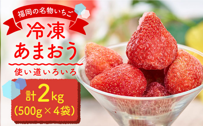 福岡産 冷凍 あまおう 2kg（500g×4袋）＜南国フルーツ株式会社＞那珂川市 [GCD006]