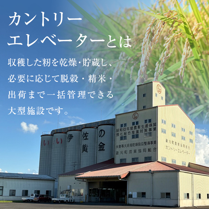 A7-03 いさひかり(5kg×2袋・計10kg) 一穂一穂大切に育てた自慢の伊佐産ヒノヒカリ お米 米 白米 精米 伊佐米 ご飯 ヒノヒカリ【JA北さつま】