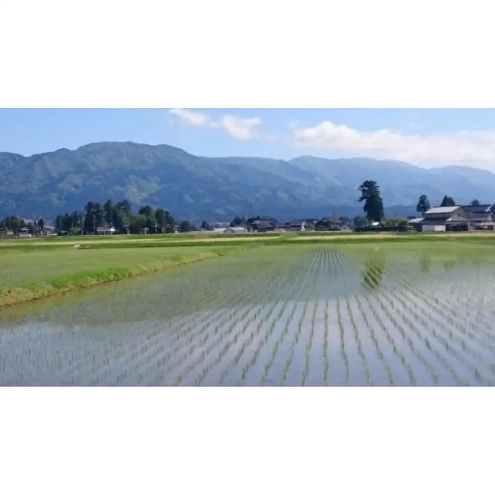 【令和7年産】赤ちゃんプリントパック  富山県産こしひかり 　育（はぐくみ）  白米（4,000gまで）《南砺の逸品》
