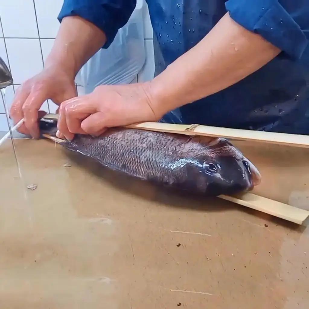 鯛魚貝類鯛の浜蒸し正月料理縁起物鯛【約30cm1kg】