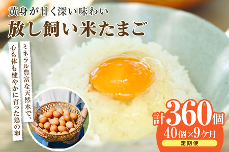 【9か月定期便】放し飼い米たまご35個+5個保証（計40個）農家直送 新鮮 卵 タマゴ 赤卵 玉子 鶏卵 朝食 夕食 夜食 朝ごはん たまご焼き オムレツ 卵ご飯 料理 濃厚 飼料にこだわった 卵かけご飯 米たまご 生卵 大容量 お取り寄せ 愛知県 常滑市
