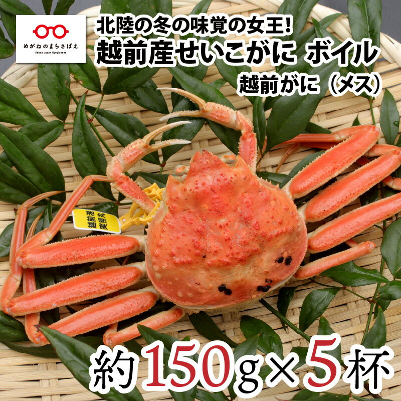 【ふるさと納税】【11月3日までの特別価格！】【11月中旬以降順次発送予定】北陸の冬の味覚の王者！越前がに（メス）「せいこがに」150g前後 × 5杯 [B-11039] / かに カニ ギフト グルメ 冷蔵 福井県