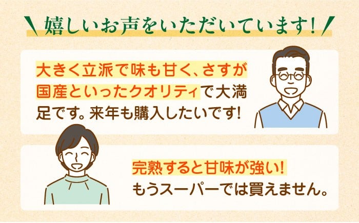 生産量日本一！家族で毎日食べられる！キウイフルーツ 約5kg 