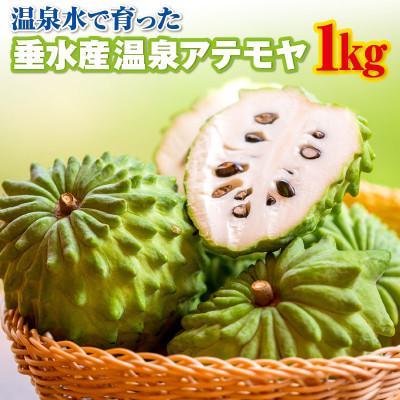 ふるさと納税 垂水市 垂水産温泉アテモヤ 1kg【秀品】 森のアイスクリーム 希少な国産アテモヤ 【財宝】(垂水市)