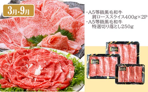 定期便(6回配送)A5等級鹿児島県産黒毛和牛三昧II-0016【1166763】_ ふるさと納税 定期便 牛肉 豚肉 霜降り 焼肉 黒毛和牛 サーロイン ステーキ 切り落とし ホルモン しゃぶしゃぶ 