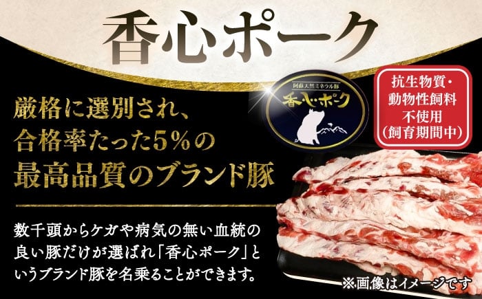 豚肉 ぶたにく ぶた肉 ブタ肉 ブタ ポーク 冷凍 ブランド ブランド豚 菊陽 熊本