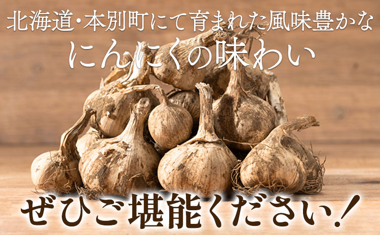 土付き にんにく 白玉王 1kg Sサイズ 本別町産【先行予約】《2025年8月上旬-9月末頃出荷》 斎啓一 ニンニク ガーリック 乾燥にんにく スタミナ 野菜 1キロ　先行予約---hsh_tnnk