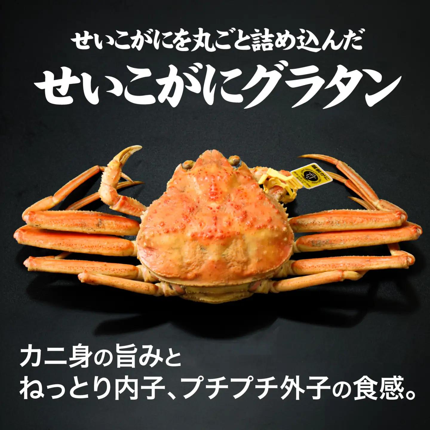 【成前特選】かに屋が本気で作った 超濃厚越前かにグラタン【せいこがに ギフト用】[D-028077] / グラタン