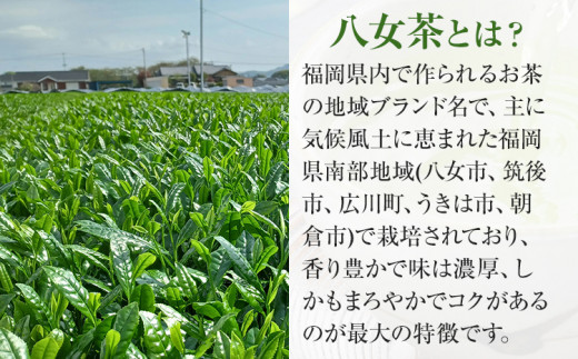 【八女茶】原田茶園 極上煎茶ティーバッグ 麗至 64g 2袋（4g×8）×2 八女 極上 煎茶 福岡 ティーバッグ お茶
