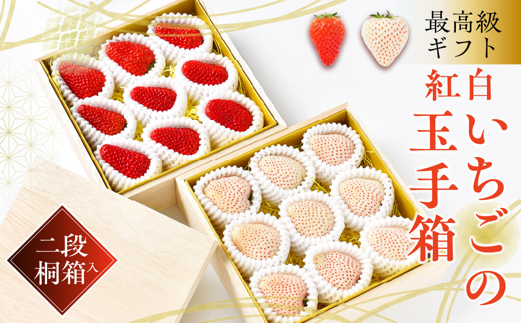 
最高級ギフト「紅白いちごの玉手箱」2段桐箱入（赤・白各約300g　計約600g）
