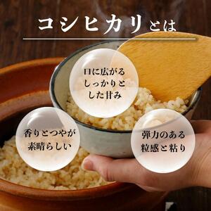 【2026年発送分 先行予約】令和8年産 鏡野町産 コシヒカリ 玄米 20kg【033-a013】