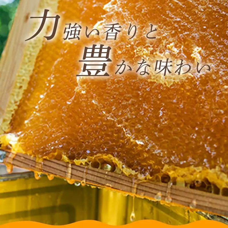 純粋天然 山口のはちみつ600g 2本