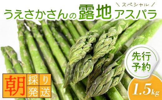 
                  【2026年 先行予約！】朝採り発送 うえさかさんの露地アスパラ スペシャル 1.5kg | 5月中旬発送 アスパラ 北海道 期間限定 朝採り 露地アスパラ 野菜 サラダ 季節限定 アスパラガス ふるさと納税 オンライン申請 羽幌町 羽幌【20101】
                