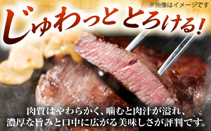 【A4～A5】博多和牛 ヒレステーキ 450g(150g×3枚) 吉富町/株式会社MEAT PLUS [BGAB009]