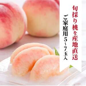 【きよとうファーム】珍しい品種の桃 もも好きのあなたに 旬採り桃 ご家庭用/5-7玉(岡山県産)【配送不可地域：離島】【1571590】
