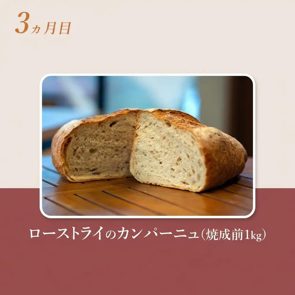 ハード系パンセット ライ麦パン カンパーニュ【 4種】【焼成前計3.9kg】【冷凍】【定期便 4ヶ月】