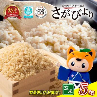 ふるさと納税 鹿島市 【令和7年産】佐賀県産 さがびより 玄米 5kg