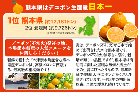 くまもとのデコポンゼリー 12個入《60日以内に順次出荷(土日祝除く)》熊本県 葦北郡 津奈木町 あしきた農業協同組合 JAあしきた 柑橘 デコポン フルーツ 果物 ゼリー ギフト 包装 送料無料