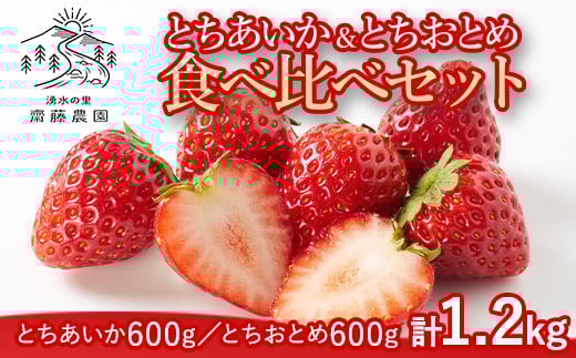 
            とちあいか600g＆とちおとめ600g 食べ比べセット 計1.2kg 風袋入り ｜ 人気 2品種 食べ比べ 手作り 厳選 農家 特産品 新鮮 フレッシュ ストロベリー 苺  塩谷町 ※2025年12月上旬～2026年4月下旬頃に順次発送予定 ※北海道・沖縄・離島への配送不可
          