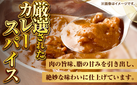 壱岐牛カレースペシャルセット（辛口／中辛／甘口）《壱岐市》【壱岐フードファクトリー】 常温配送 レトルトカレー ご当地 常温 レトルト 簡単調理 ギフト [JDW034]