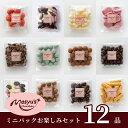 【ふるさと納税】チョコレート　ミニパック　お楽しみセット　12品　4月～10月発送　チョコレート チョコ スイーツ お菓子 おかし お楽しみ 詰め合わせ ミニパック セット 食べ比べ ギフト プレゼント 兵庫県 伊丹市　お届け：4月～10月に発送