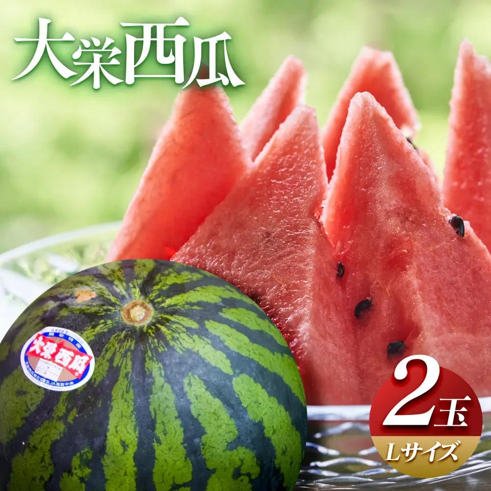 【2027年産先行予約】大栄西瓜 L ２玉 ※2027年6月中旬～7月中旬頃に順次発送予定 スイカ
