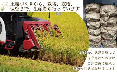 【先行予約】【2025年11月より順次発送】《令和７年産 》福岡県産 ブランド 米「 元気つくし 」 5kg×2個　計10kg