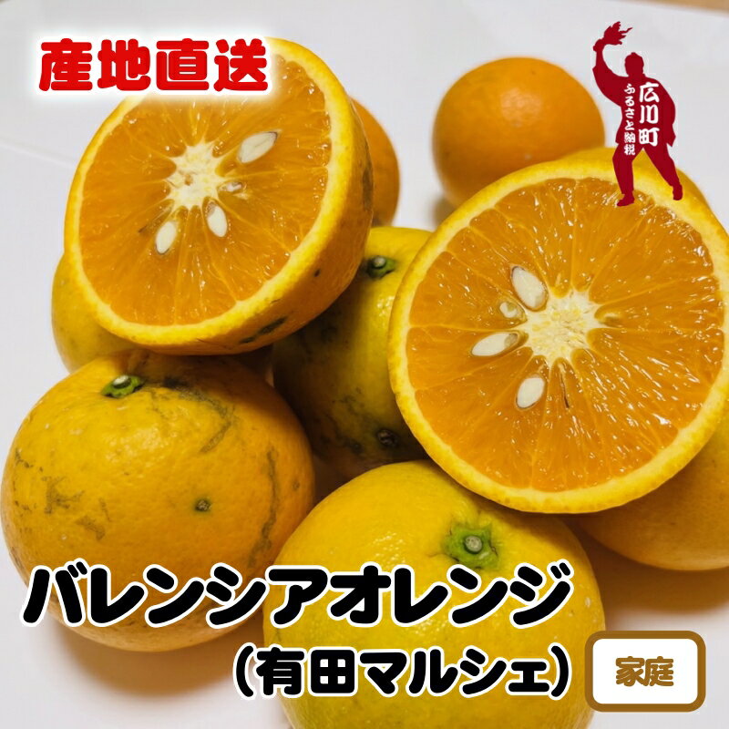 【ふるさと納税】【農家直送】 有田育ちの 国産 バレンシア オレンジ (ご家庭用) ※2025年6月上旬～2025年7月下旬に順次発送 ※北海道・沖縄・その他離島地域は発送不可 / みかん くだもの 果実 蜜柑 柑橘 果物 フルーツ 国産 和歌山県 有田 //hassaku