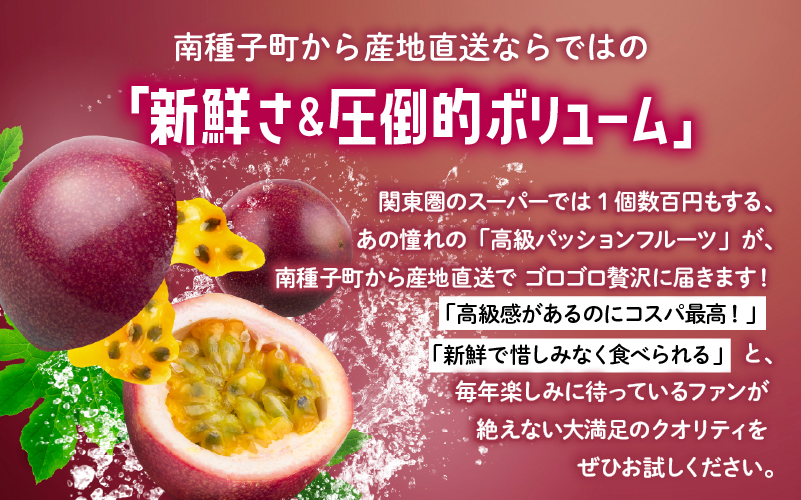 《令和年産》 種子島産パッションフルーツ2ケース （24個入り）【新栄物産】