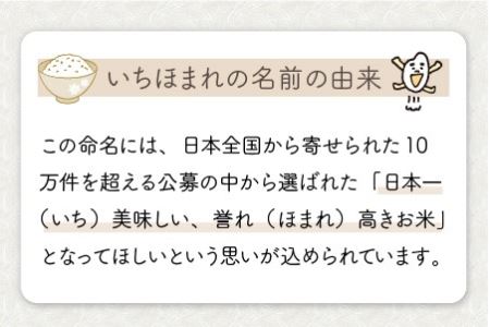 【令和5年産】定期便 ≪3ヶ月連続お届け≫ 福井県のブランド米 いちほまれ 無洗米 5kg × 3回 計15kg 【 無洗米 人気 品種 ブランド米 特A 】 [C-6135]