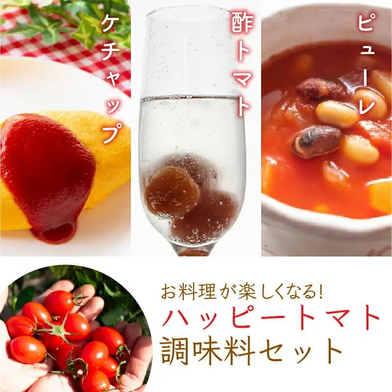 ハッピートマトCセット｜トマトトマトトマト
