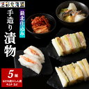 【ふるさと納税】最北仕込みの 手造り 漬物 セット (5種入〜 鮭はさみ漬 / にしん漬 / キムチ など)漬物 鮭 さけ にしん キムチ 海産物 惣菜 加工品 北海道ふるさと納税 稚内 ふるさと納税 北海道 【配送不可地域：離島・沖縄県】