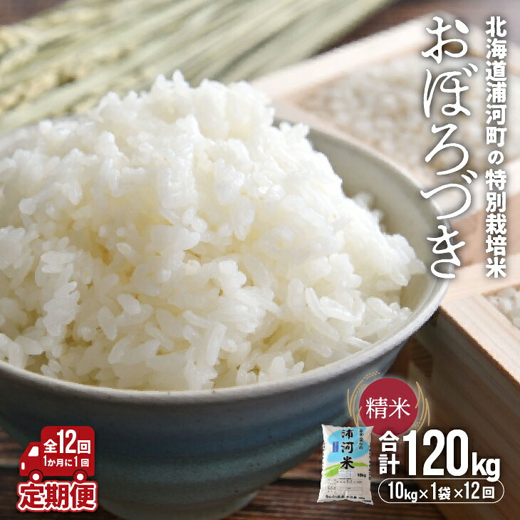 【ふるさと納税】北海道浦河町の特別栽培米「おぼろづき」精米(10kg×1袋)定期便(全12回)[37-1228] 北海道 浦河 ふるさと納税 特別栽培米 おぼろづき 令和8年産 米 精米 定期便 全12回 送料無料
